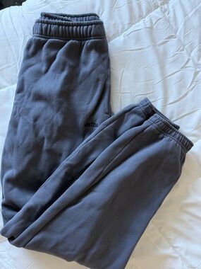 Aritzia Joggers